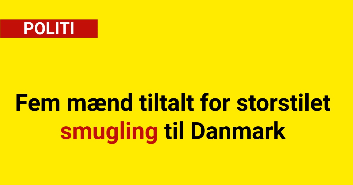 Fem mænd tiltalt for storstilet smugling til Danmark