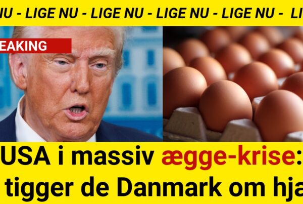 USA i massiv ægge-krise: Nu tigger de Danmark om hjælp