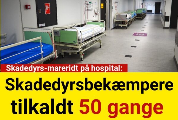 Skadedyrs-mareridt på hospital: