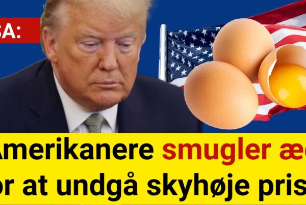 Amerikanere smugler æg for at undgå skyhøje priser