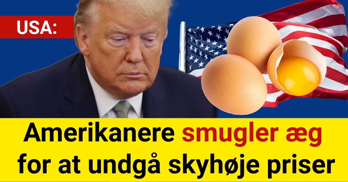 Amerikanere smugler æg for at undgå skyhøje priser