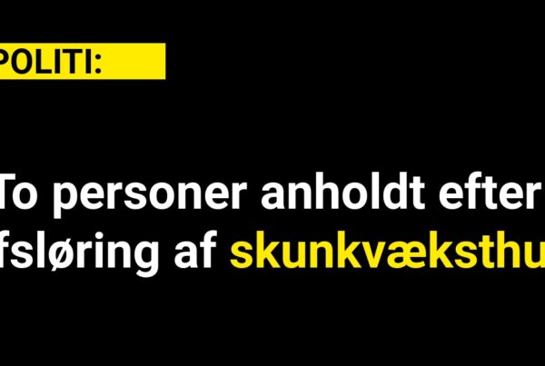 To personer anholdt efter afsløring af skunkvæksthus