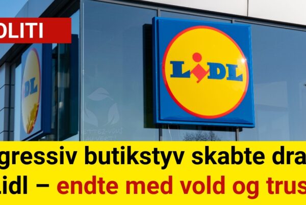 Aggressiv butikstyv skabte drama i Lidl – endte med vold og trusler