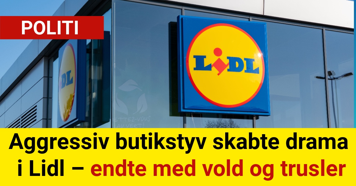 Aggressiv butikstyv skabte drama i Lidl – endte med vold og trusler