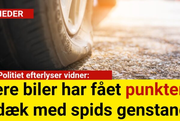 Politiet efterlyser vidner