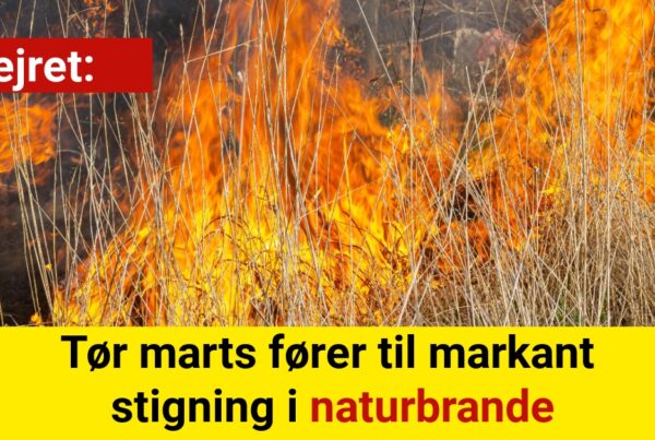 Tør marts fører til markant stigning i naturbrande​