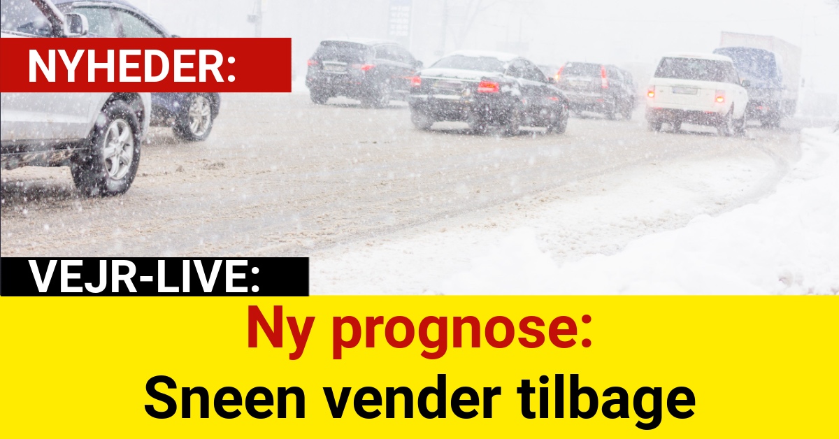 Ny prognose: Sneen vender tilbage