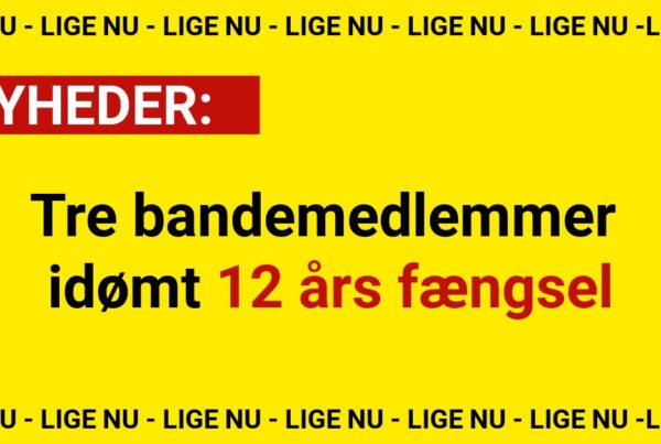 Tre bandemedlemmer idømt 12 års fængsel