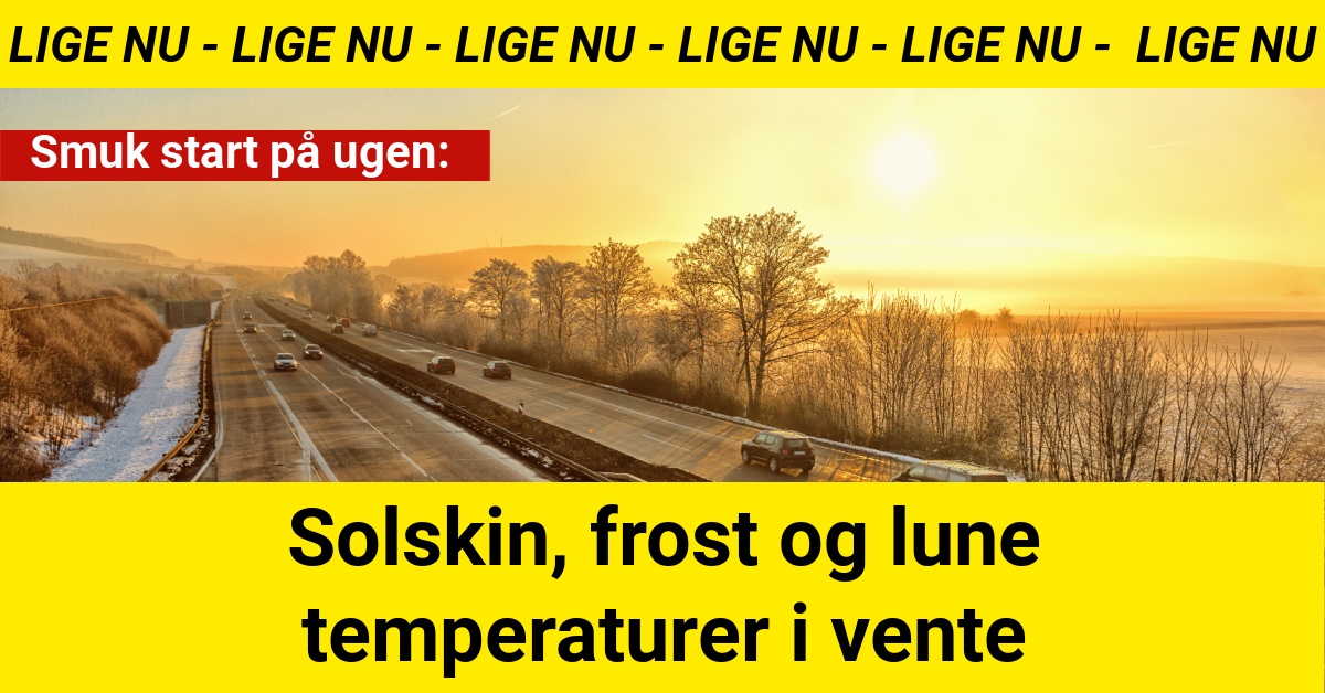 Smuk start på ugen: Solskin, frost og lune temperaturer i vente