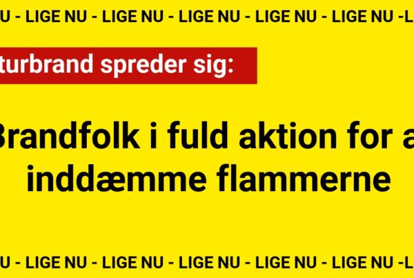 Naturbrand spreder sig: Brandfolk i fuld aktion for at inddæmme flammerne