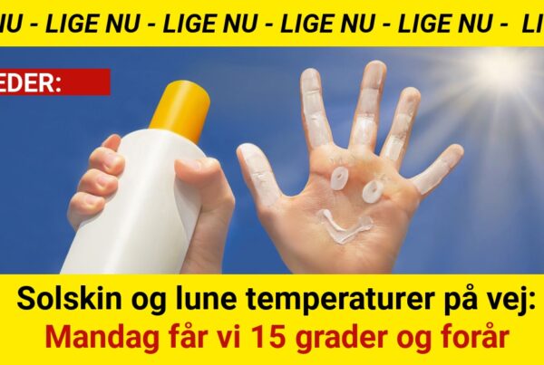 Solskin og lune temperaturer på vej: Mandag får vi 15 grader og forår