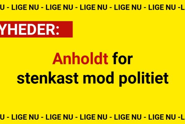 Anholdt for stenkast mod politiet