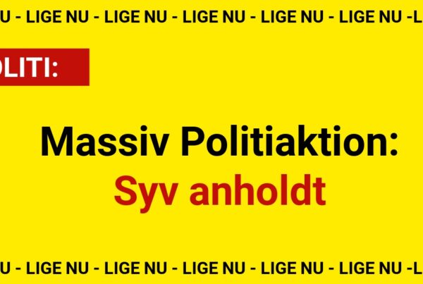 Massiv Politiaktion: Syv anholdt