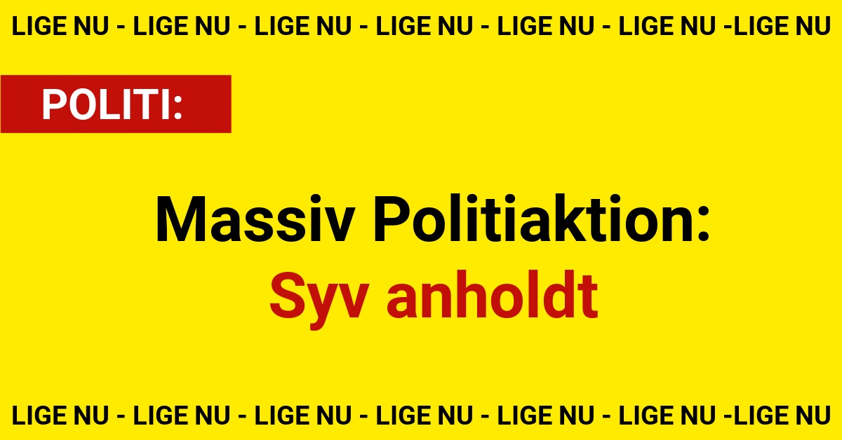 Massiv Politiaktion: Syv anholdt