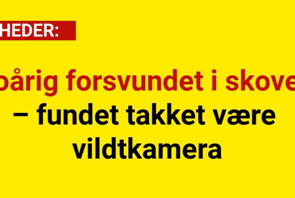 Toårig forsvundet i skoven – fundet takket være vildtkamera