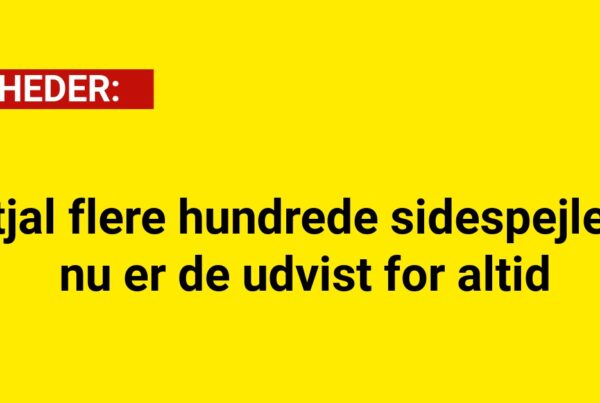 Stjal flere hundrede sidespejle – nu er de udvist for altid