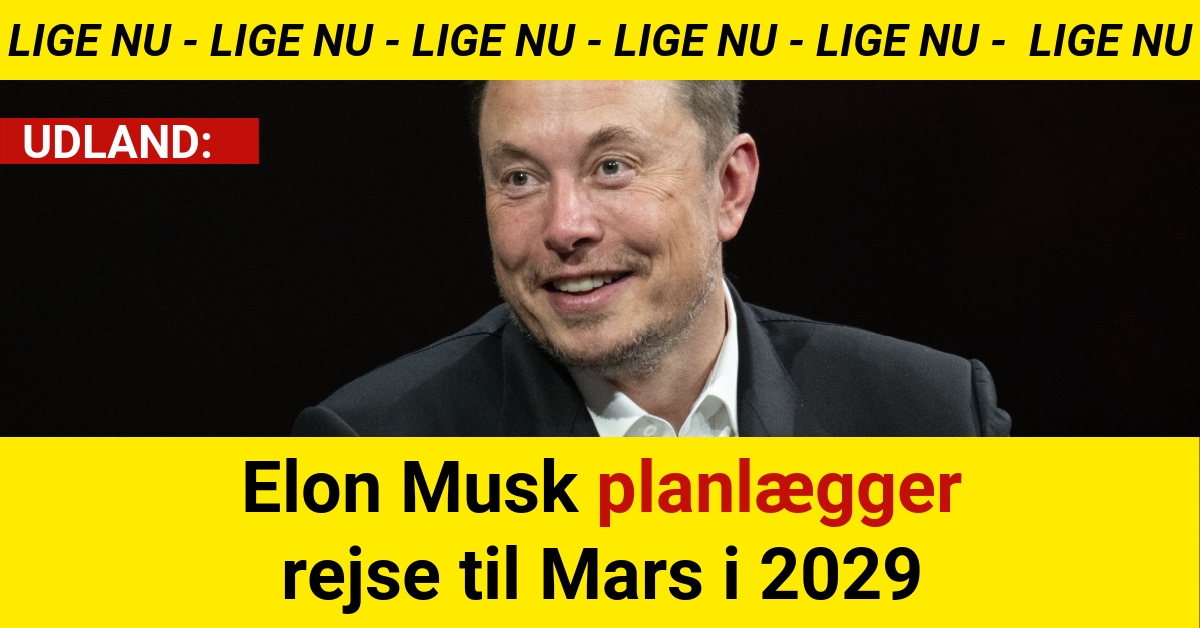 Elon Musk planlægger rejse til Mars i 2029