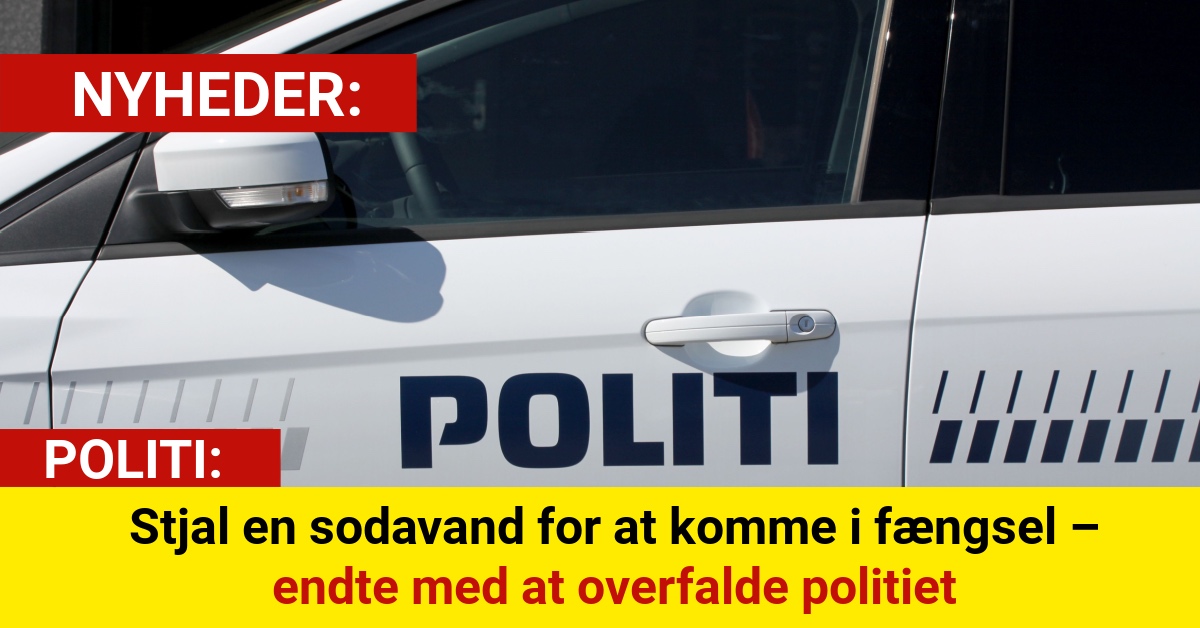 Stjal en sodavand for at komme i fængsel – endte med at overfalde politiet