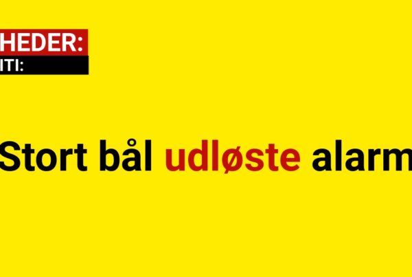 Stort bål udløste alarm