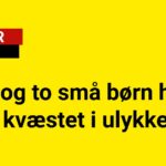 Mor og to små børn hårdt kvæstet i ulykke