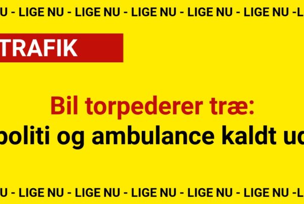 Bil torpederer træ – politi og ambulance kaldt ud