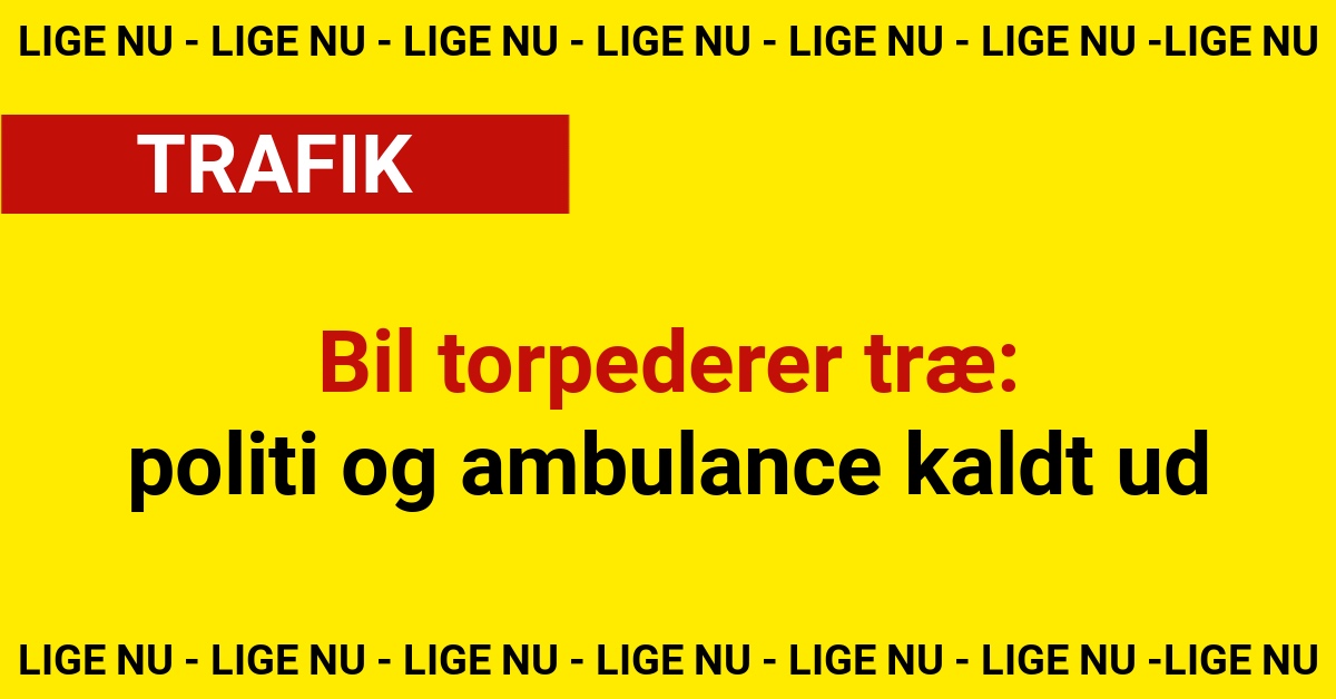Bil torpederer træ – politi og ambulance kaldt ud