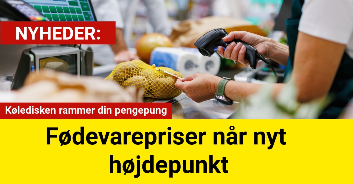 Køledisken rammer din pengepung – fødevarepriser når nyt højdepunkt