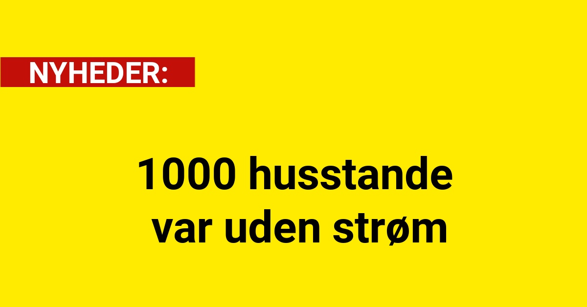1000 husstande var uden strøm