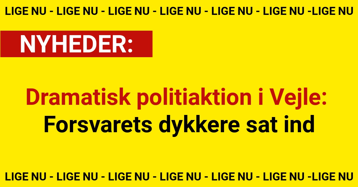 Dramatisk politiaktion i Vejle: Forsvarets dykkere sat ind