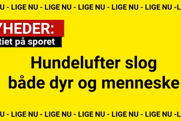 Hundelufter slog både dyr og menneske: Politiet på sporet
