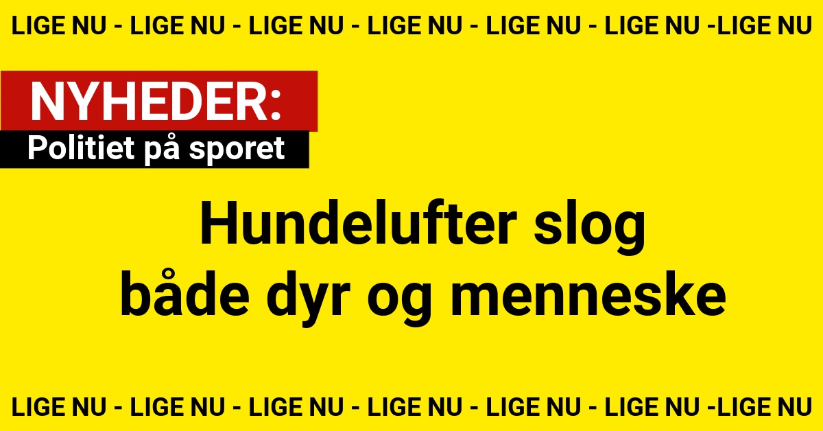 Hundelufter slog både dyr og menneske: Politiet på sporet