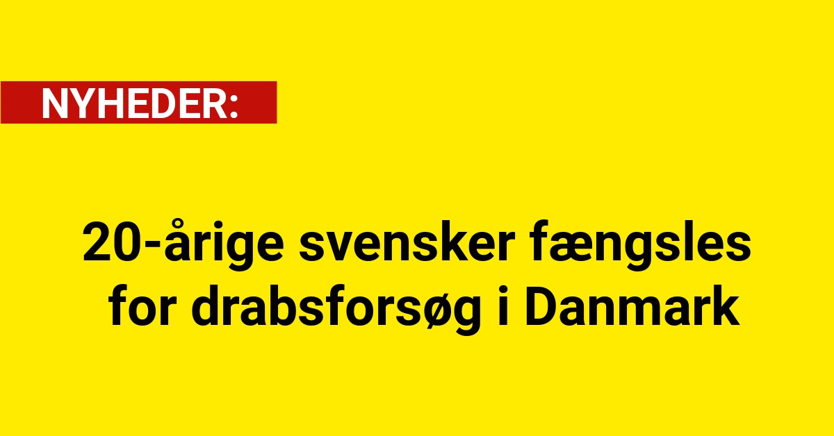 20-årige svensker fængsles for drabsforsøg i Danmark