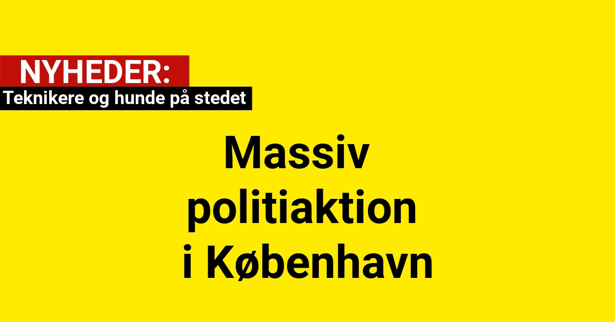 Massiv politiaktion i København: Teknikere og hunde på stedet