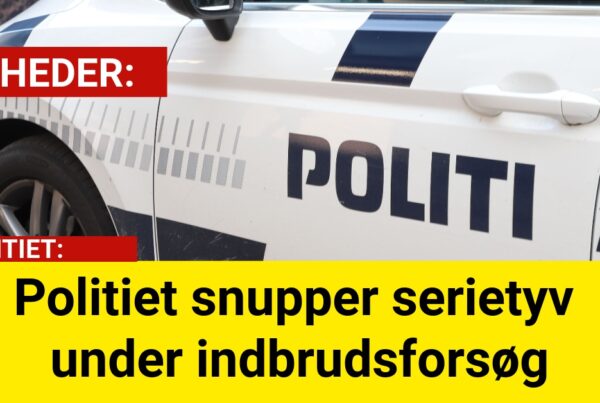 Politiet snupper serietyv under indbrudsforsøg