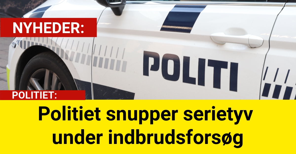 Politiet snupper serietyv under indbrudsforsøg