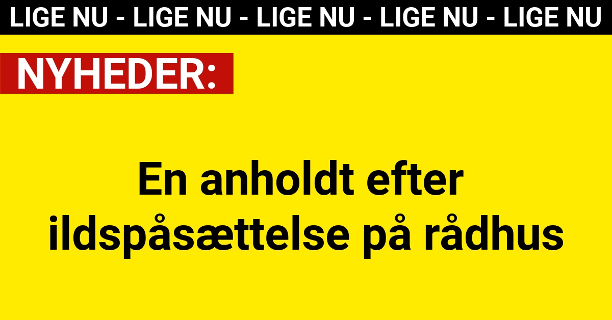 En anholdt efter ildspåsættelse på rådhus