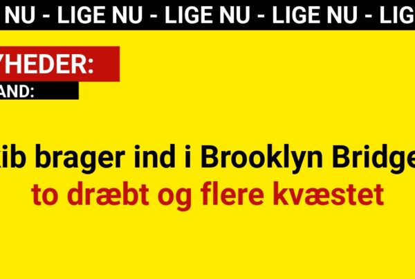 Skib brager ind i Brooklyn Bridge – to dræbt og flere kvæstet
