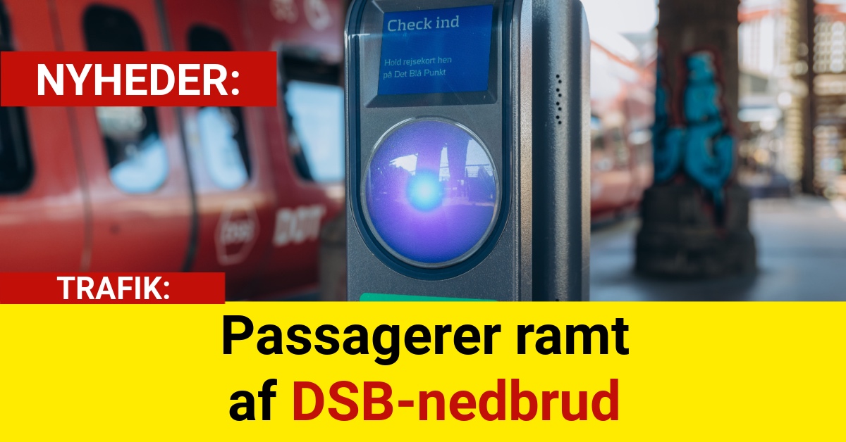 Passagerer ramt af DSB-nedbrud