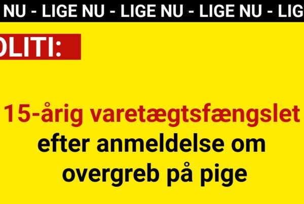 15-årig varetægtsfængslet efter anmeldelse om overgreb på pige