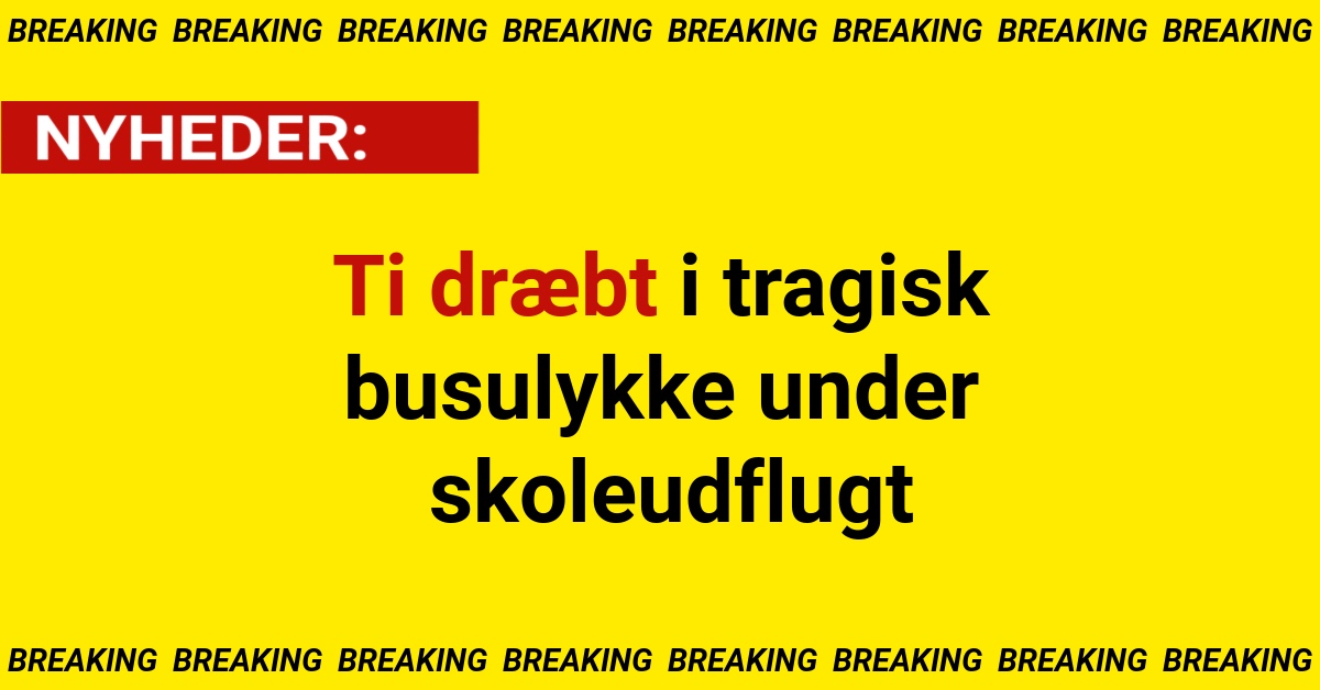 Ti dræbt i tragisk busulykke under skoleudflugt