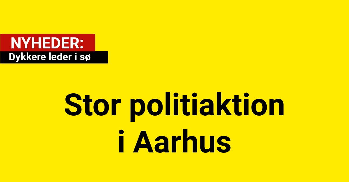 Stor politiaktion i Aarhus: Dykkere leder i sø