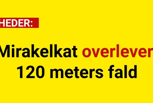 Mirakelkat overlever 120 meters fald