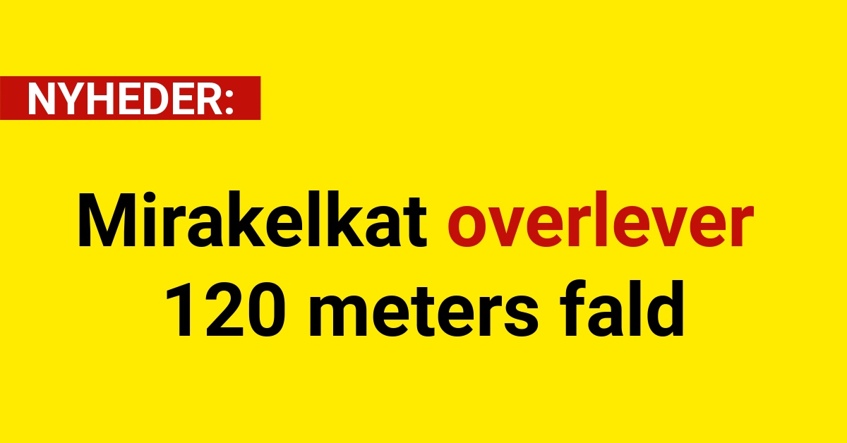 Mirakelkat overlever 120 meters fald