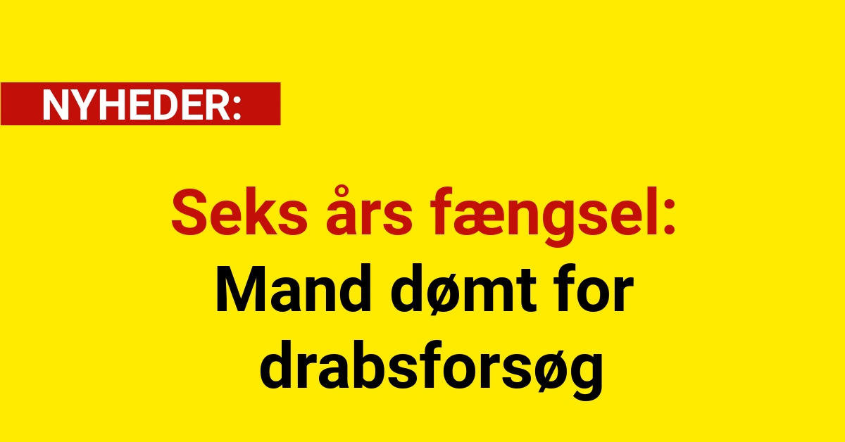 Seks års fængsel: Mand dømt for drabsforsøg