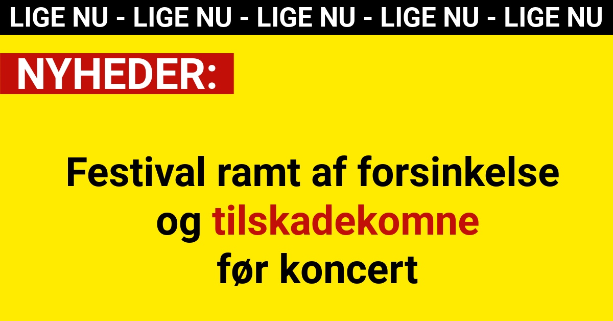Festival ramt af forsinkelse og tilskadekomne før koncert