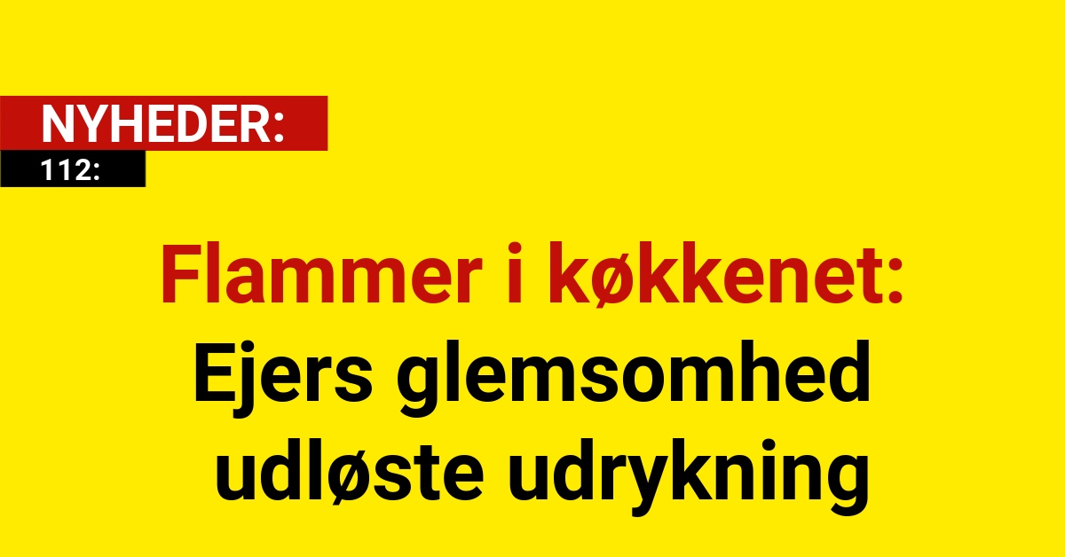 Flammer i køkkenet: Ejers glemsomhed udløste udrykning