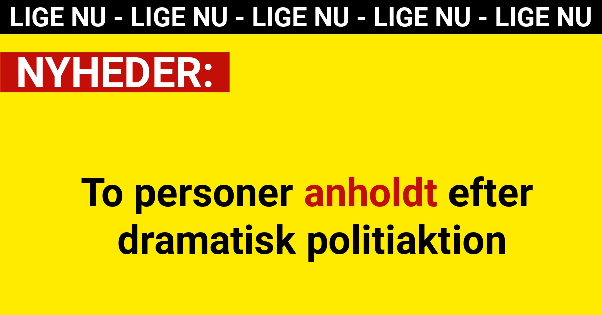 To personer anholdt efter dramatisk politiaktion