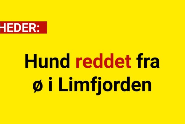 Hund reddet fra ø i Limfjorden
