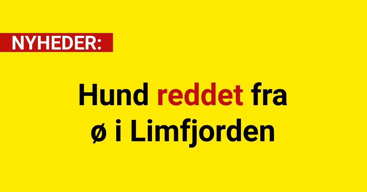 Hund reddet fra ø i Limfjorden