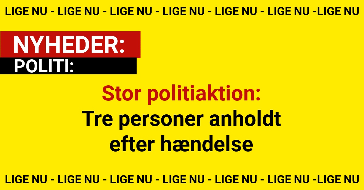 Stor politiaktion: